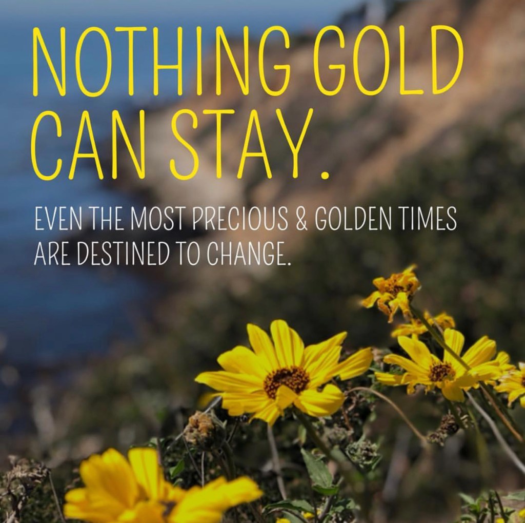 An image of gold flowers overlooking the California coast that reads "Nothing Gold Can Stay"