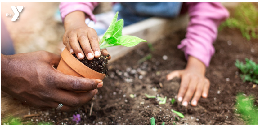 Annual Giving Campaign